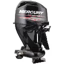 2-ST MERCURY 40HP LONG MANUAL TILLER HANDLE 3.webp