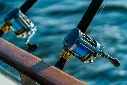 King mackerel 9x 100LB 500m 3