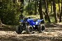 YFZ 50 Raptor - Blue 3.webp