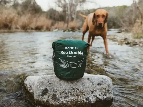 Roo Double - Pine Green 6.webp