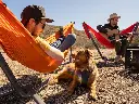 Swiftlet Portable Hammock Stand