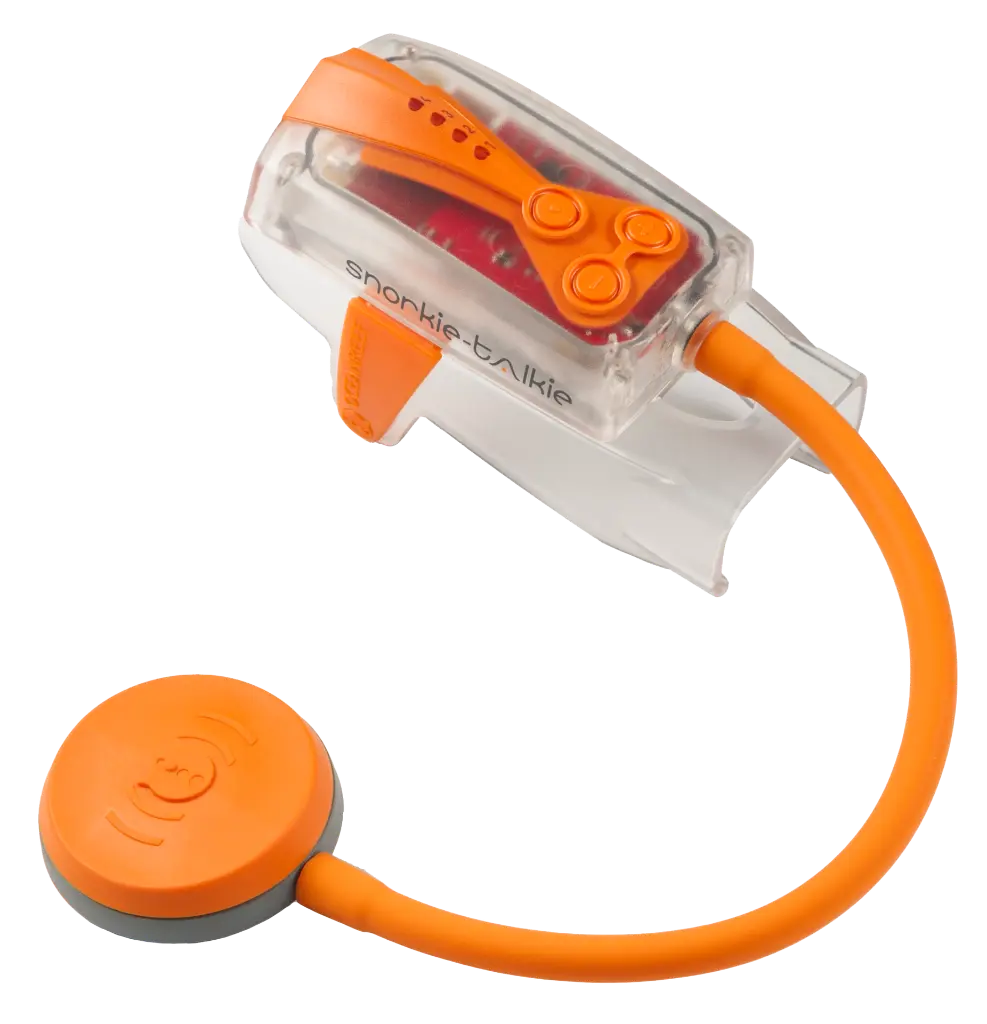 Snorkie Talkie