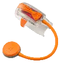 Snorkie Talkie