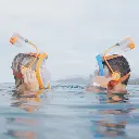 Snorkie Talkie