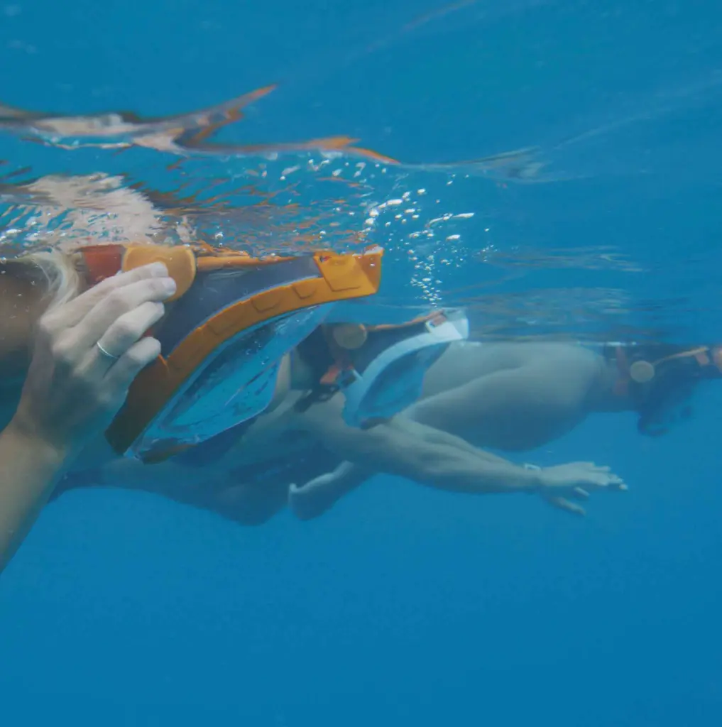 Snorkie Talkie