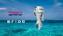 BF100 1.webp