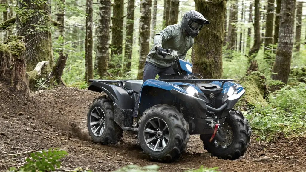 Grizzly 700 - Special Edition Blue 2025 3.webp