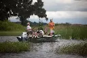 bf60-war-eagle-03.webp
