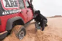 TRED  PRO RECOVERY DEVICE