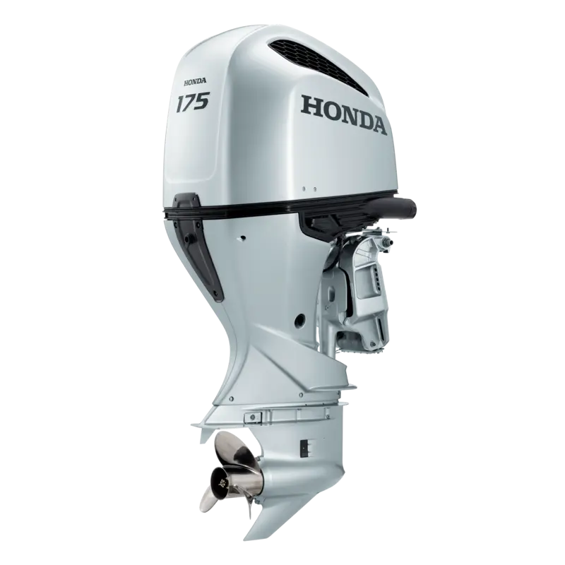 BF175