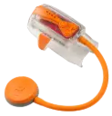 Snorkie Talkie 